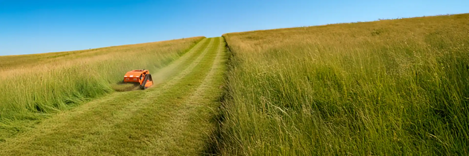 Foto do Robô Cortador de Grama Vant Orange Line
